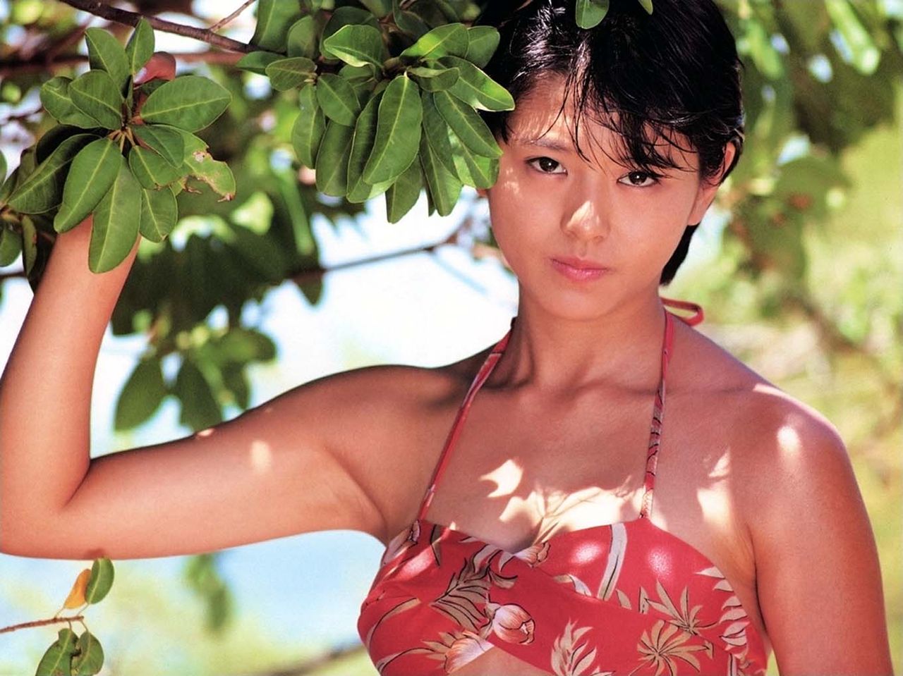 さわやかで可愛いアイドル小泉今日子の水着画像 Vol 1 アイドルたまて箱e