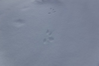 631610083_3484563018368134_5749159634610871524_n