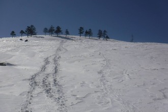 637652898_3493738597450576_4812748249213481977_n