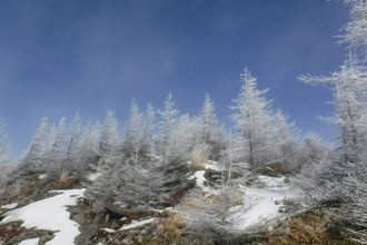 637598420_3493739234117179_5076941568154734699_n