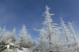 638460506_3493739277450508_2492878176371351905_n