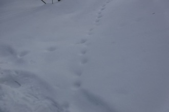 631702751_3484563098368126_5919043294612926141_n