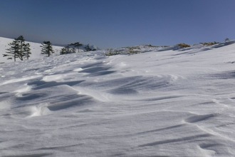 637497500_3493738747450561_7917704425556736576_n