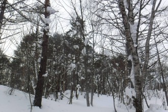 631380215_3484562575034845_1510784892418625095_n