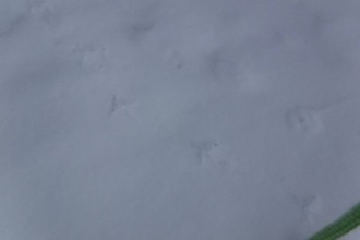 631471278_3484563195034783_4450384073879333420_n