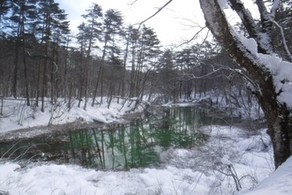 632426190_3484562865034816_7007610137231271885_n