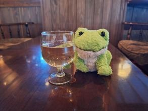 637637844_3493738980783871_5933833790234840091_n