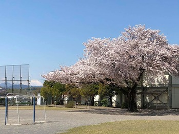 92141855_2889158431167972_4558174668699205632_o