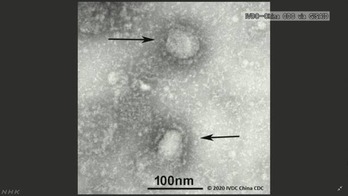 K10012263811_2001291607_2001291611_01_02