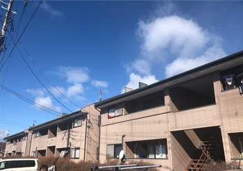 物件調査