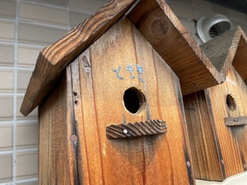 A31FB154-8613-4EAB-AF17-FBFD583A01BB_1_105_c