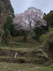 P_20240402_091612