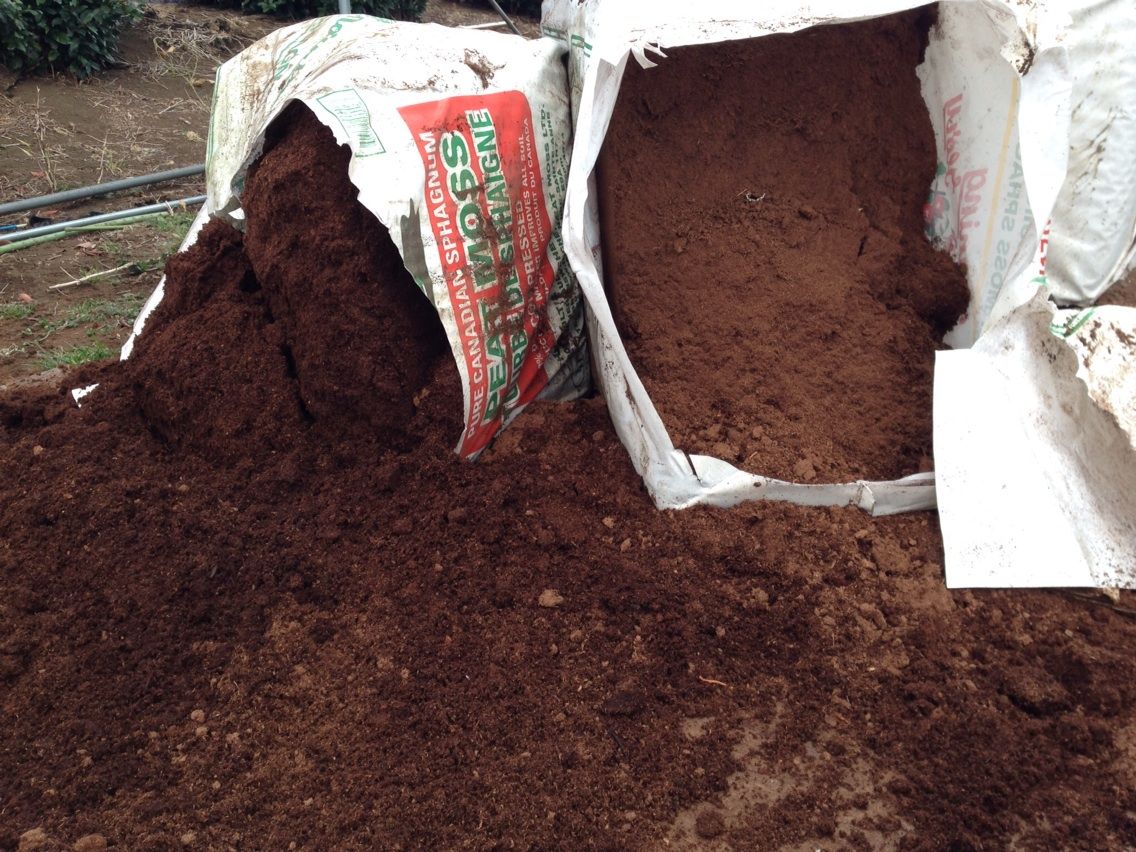 ピートモス 東京 町田 井上農園のブログ