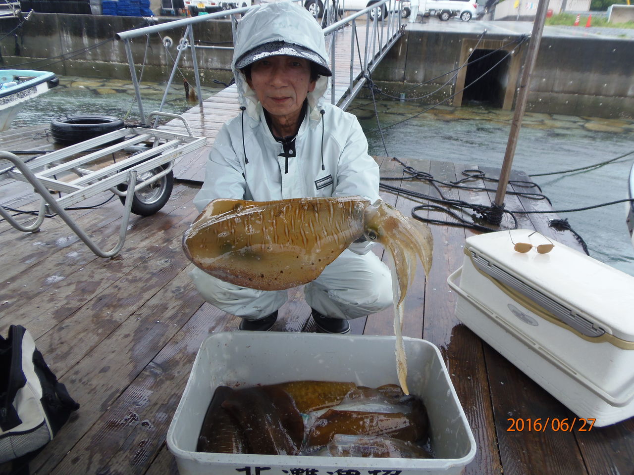 ６月２７日アオリイカが大漁です 津島マリン 今日の釣果