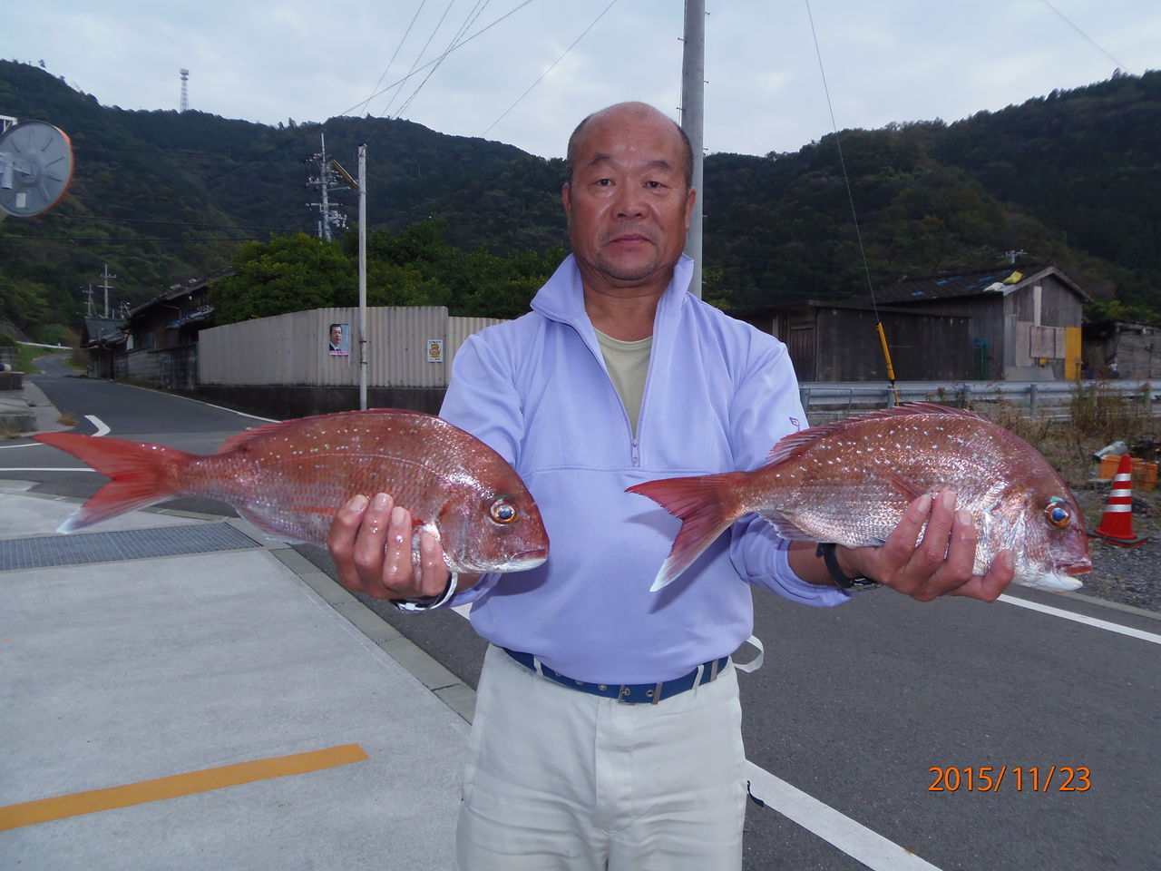 １１月23日綺麗な真鯛 津島マリン 今日の釣果