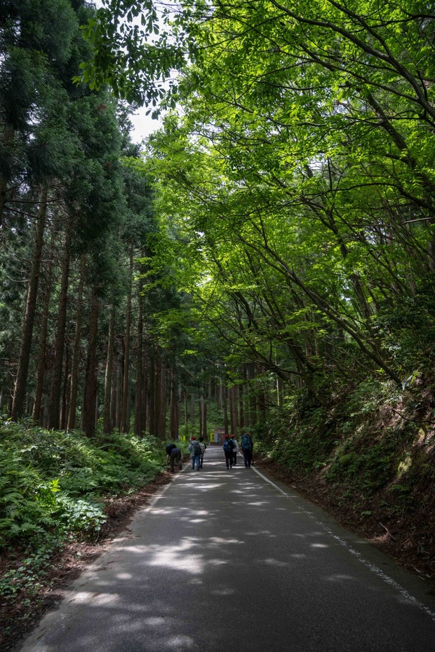 20210530BS八乙女山登山_210531_30