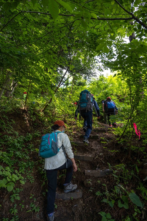 20210530BS八乙女山登山_210531_31
