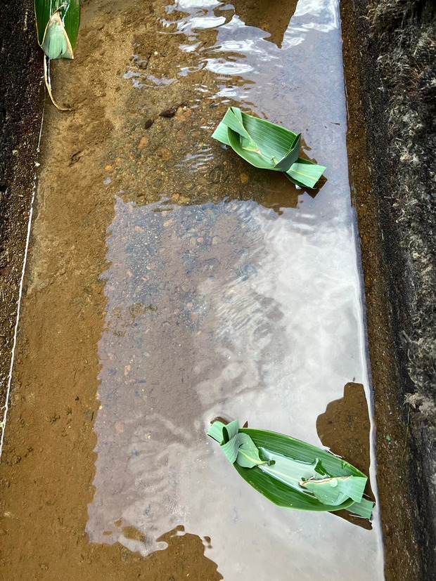 LINE_ALBUM_��ˡ�ع�202309009_231028_146