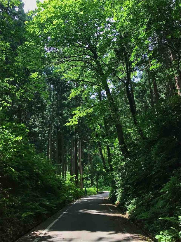 [南砺3団] 【ベンチャー隊】八乙女山登山