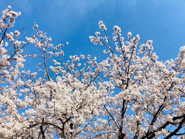 LINE_ALBUM_20240407_240421_8