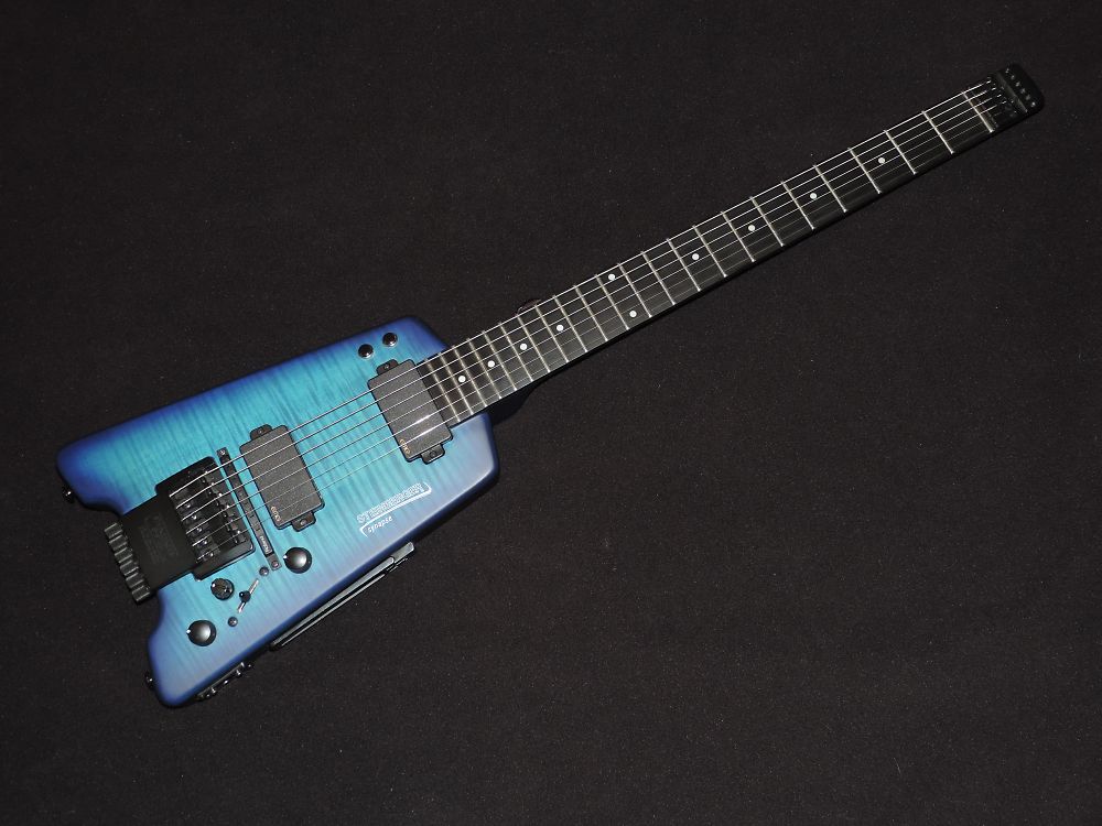 STEINBERGER Synapse : 今日の出来事