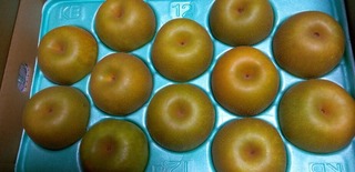 KIMG0557