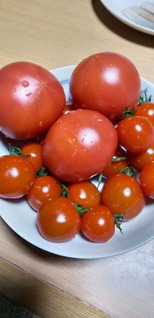 KIMG0040