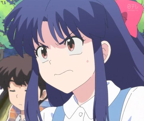 【悲報】らんま1/2　あかねの髪　終わるのトップ画像