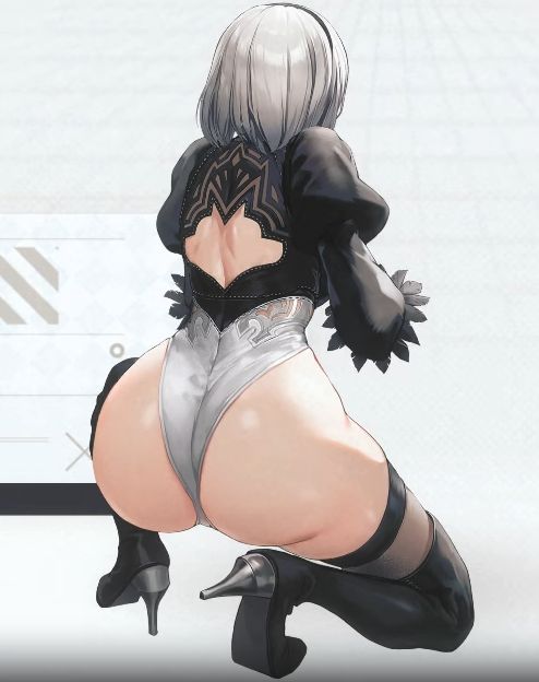 NIKKEの2B尻やばすぎwwwwwwwwwwwwのトップ画像