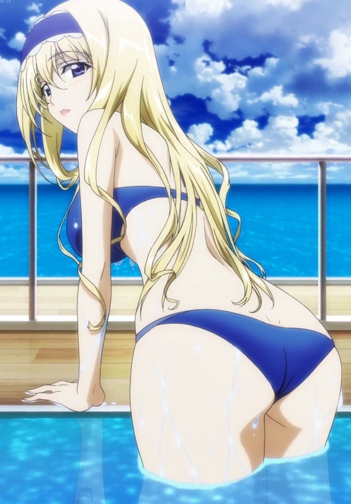 ISのセシリアとかいうキャラwwwwwwwwwwwwwのトップ画像