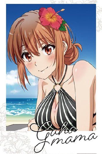 俺ガイルとかいう完結後も脱がされ続けるやつwwwwwwwwwのトップ画像
