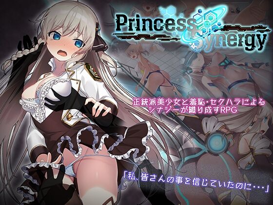プリンセスシナジー　感想のトップ画像