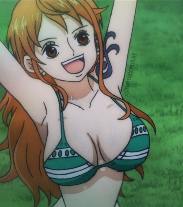 ナミさんとかいう日本が誇るおっぱいキャラのトップ画像