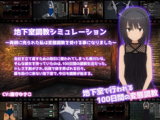 【同人】てるかラボ「地下室調教シミュレーション~両親に売られた私は変態調教を受ける事になりました~」感想のトップ画像