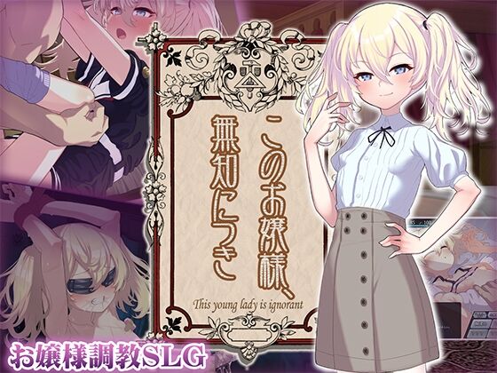 【同人】からあげカンパニー「このお嬢様、無知につき」感想のトップ画像