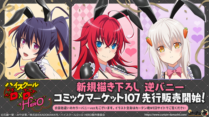 【画像】アニメ「ハイスクールD×D」、ヒロインの逆バニーイラストがエロすぎる!のトップ画像