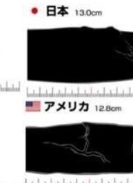 【画像】日本人のペニス。アメリカ人よりも大きいことが判明のトップ画像