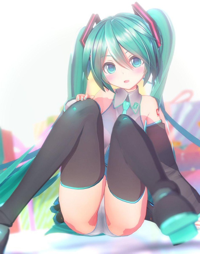 初音ミクさんのパンツ画像くださいのトップ画像