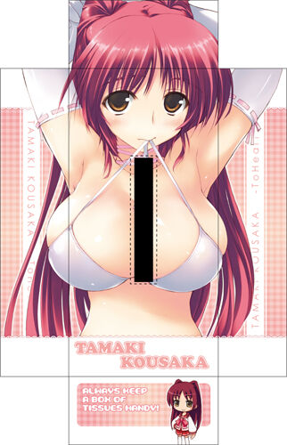 タマ姉たまんねえwwwwwwwwwwwwのトップ画像