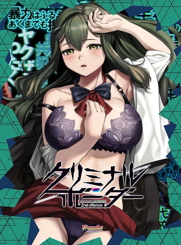 パープルソフトウェア「クリミナルボーダー 2nd offence」感想のトップ画像