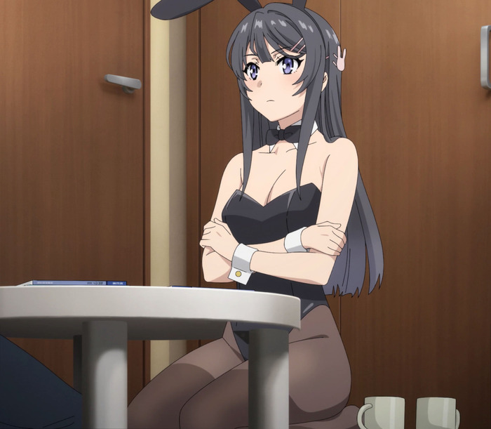 バニーガールとかいうヤツwwwwwwwwwのトップ画像