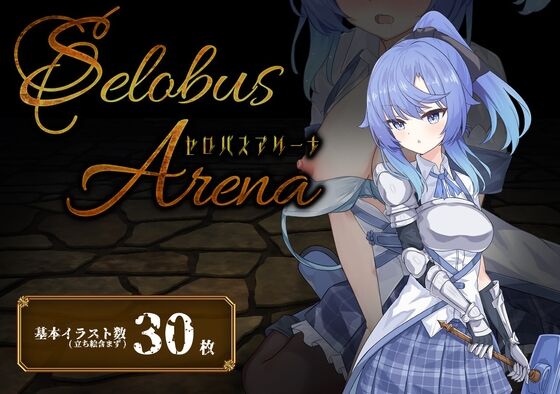 SelobusArena　感想のトップ画像