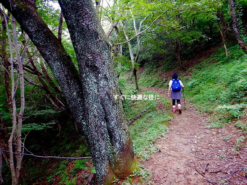 里山徘徊：山口県発