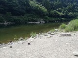 IMG_20190809_144533