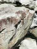IMG_20190809_134956