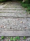 IMG_20190809_140520