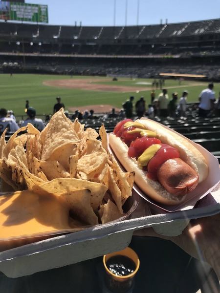 プロ野球観戦を趣味にしようと思うんやが応援するチームはどう選べばいいの？