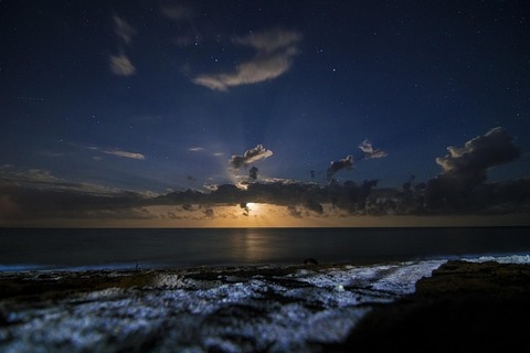 night-4154161_640