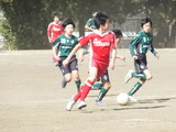 DSCF6701