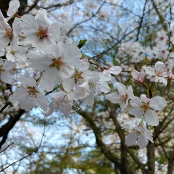 IMG00144_HDR
